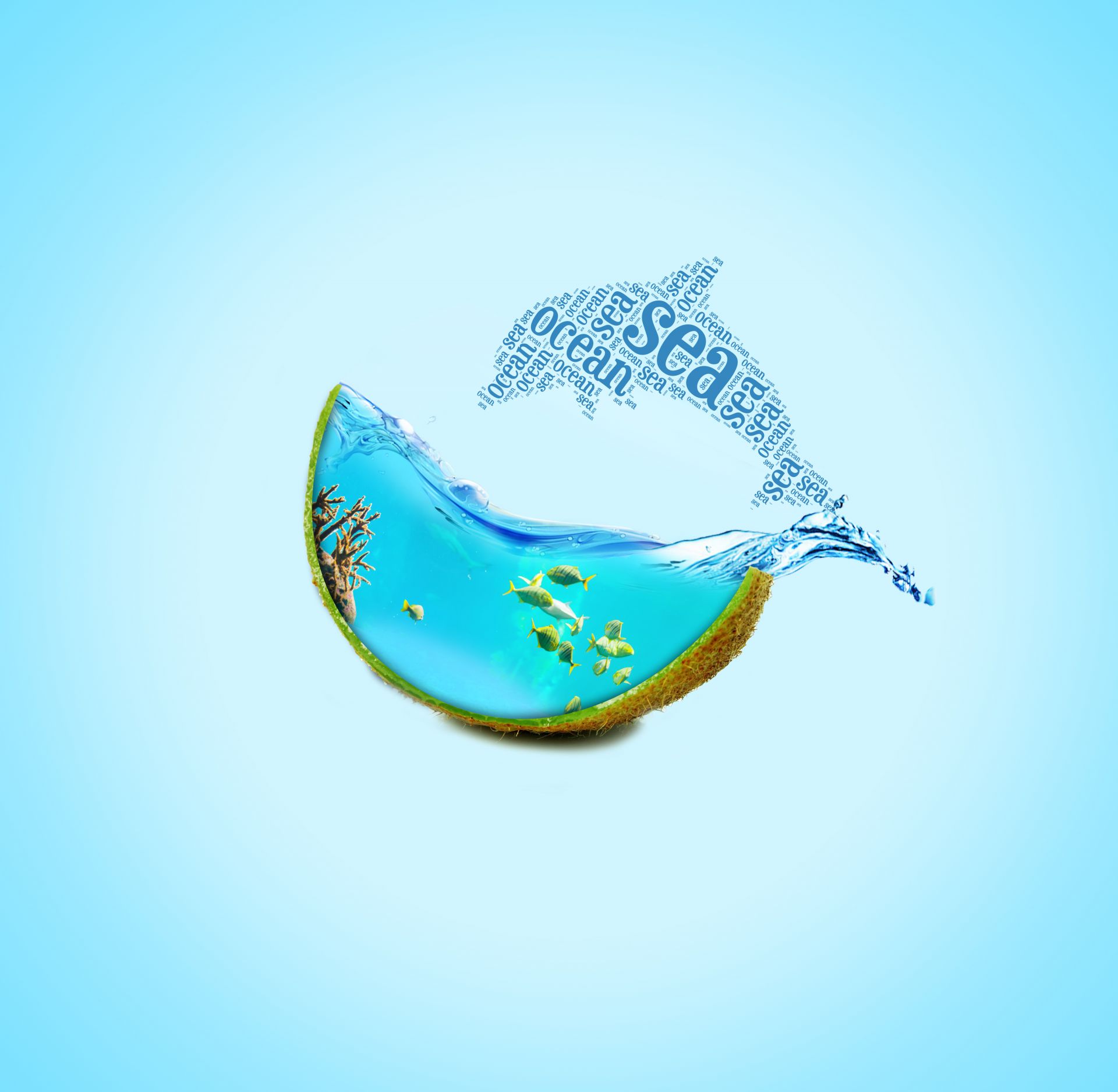 首頁